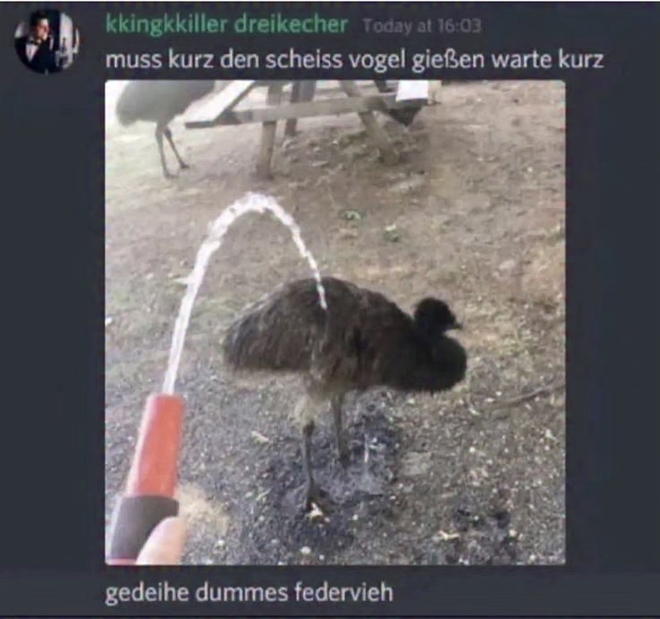 Meme