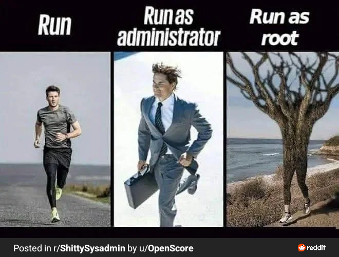 Meme